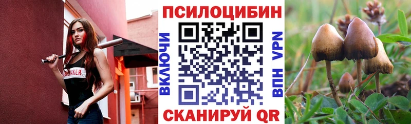 мега как зайти  Новохопёрск  Галлюциногенные грибы Cubensis 