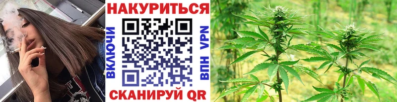 Конопля конопля  Новохопёрск 
